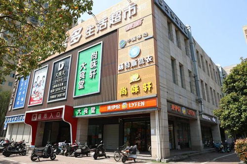 金匯鎮(zhèn)旺鋪上新，商機無限，欲租從速！